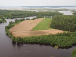 Продаю полуостров на Рыбинском водохранилище