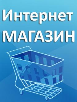  Интернет-магазин ( действующий бизнес)